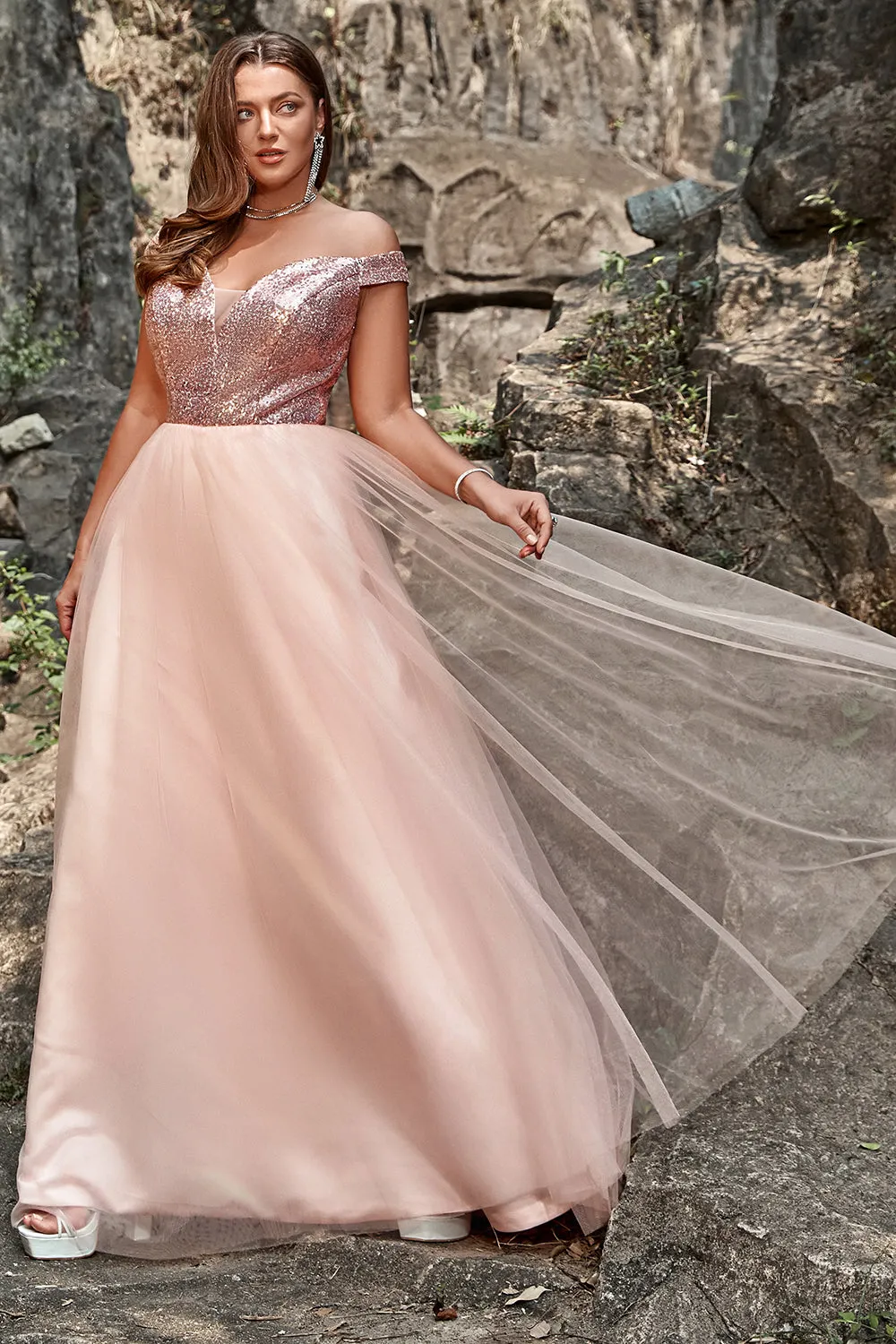 A Line Off the Shoulder Blush Plus Size Prom Dress